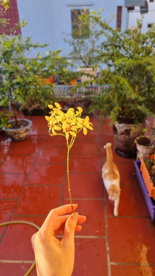 Daisy'S Stay 河内 外观 照片